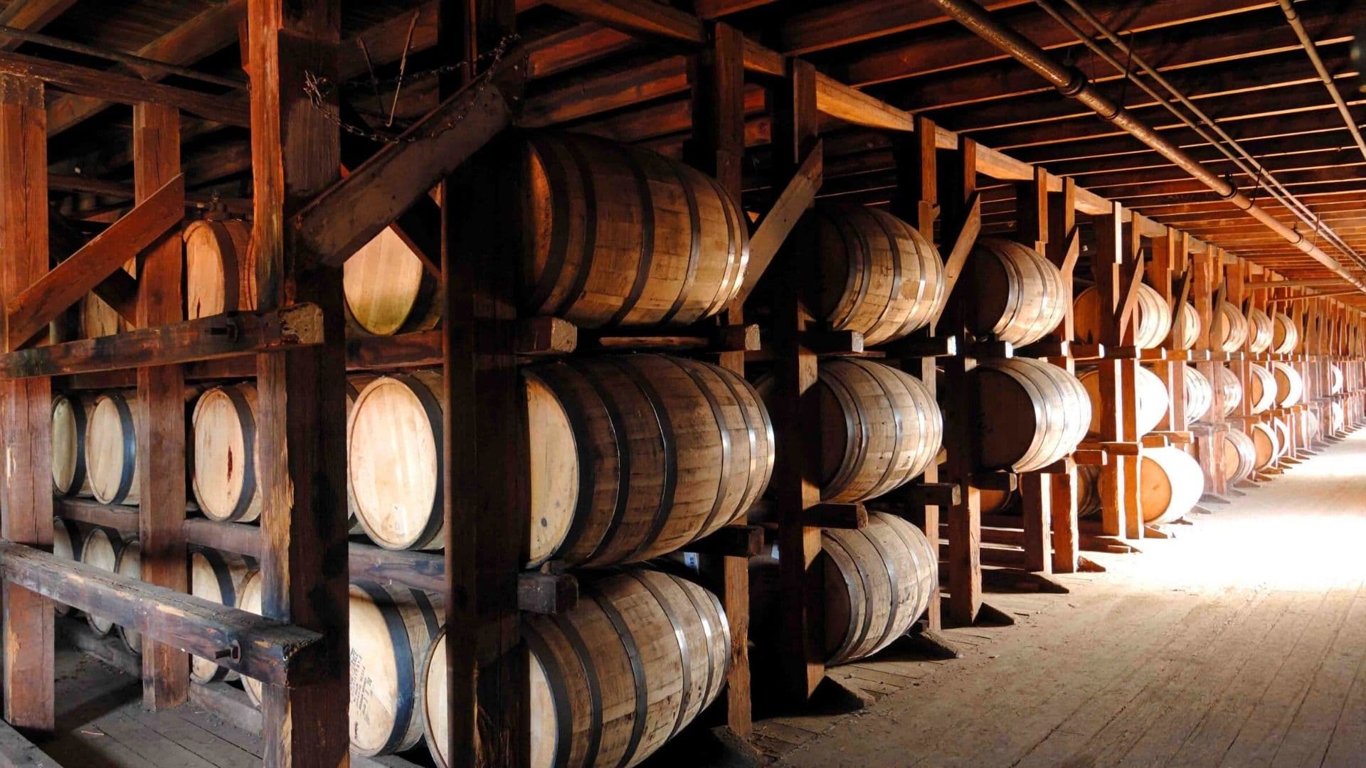 a collection of whiskey barrels at buffalo trace distillery