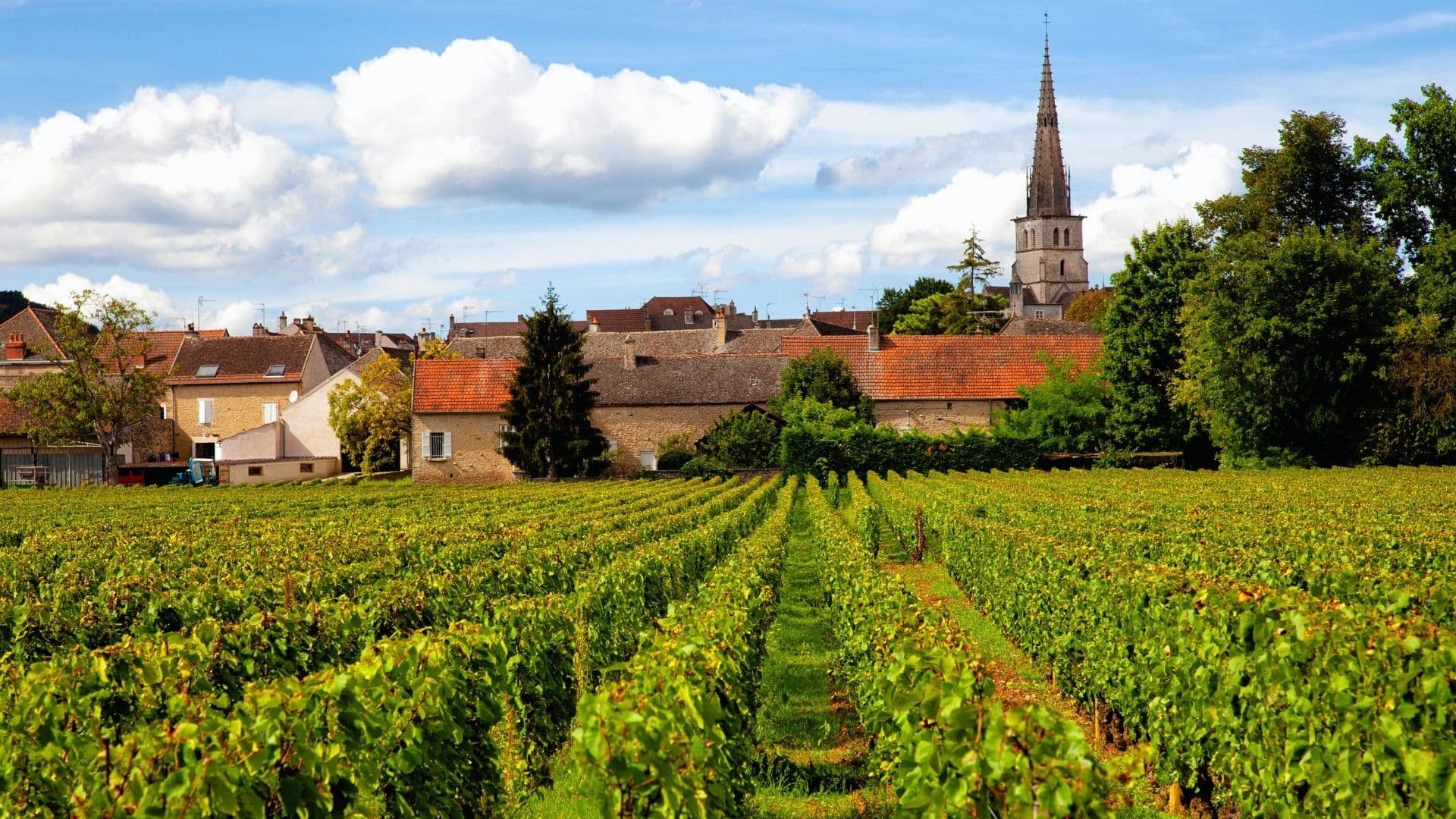 burgundy france wine region