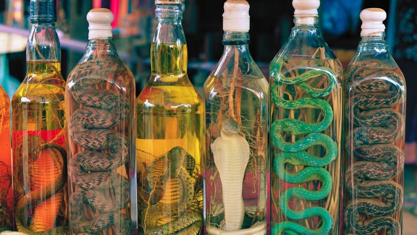 exotic liquors of the world snake awamori