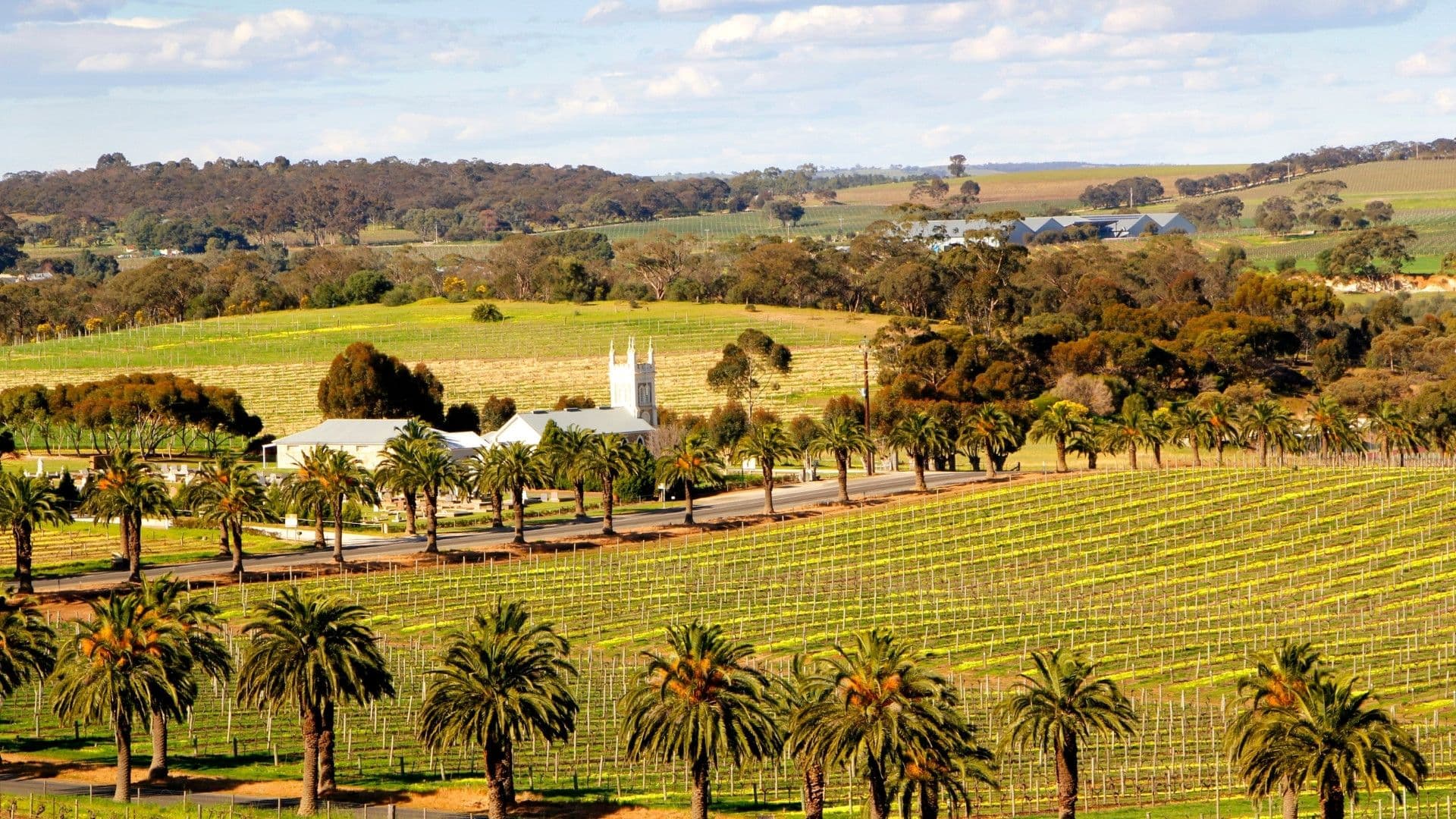 barossa valley australia vineyard