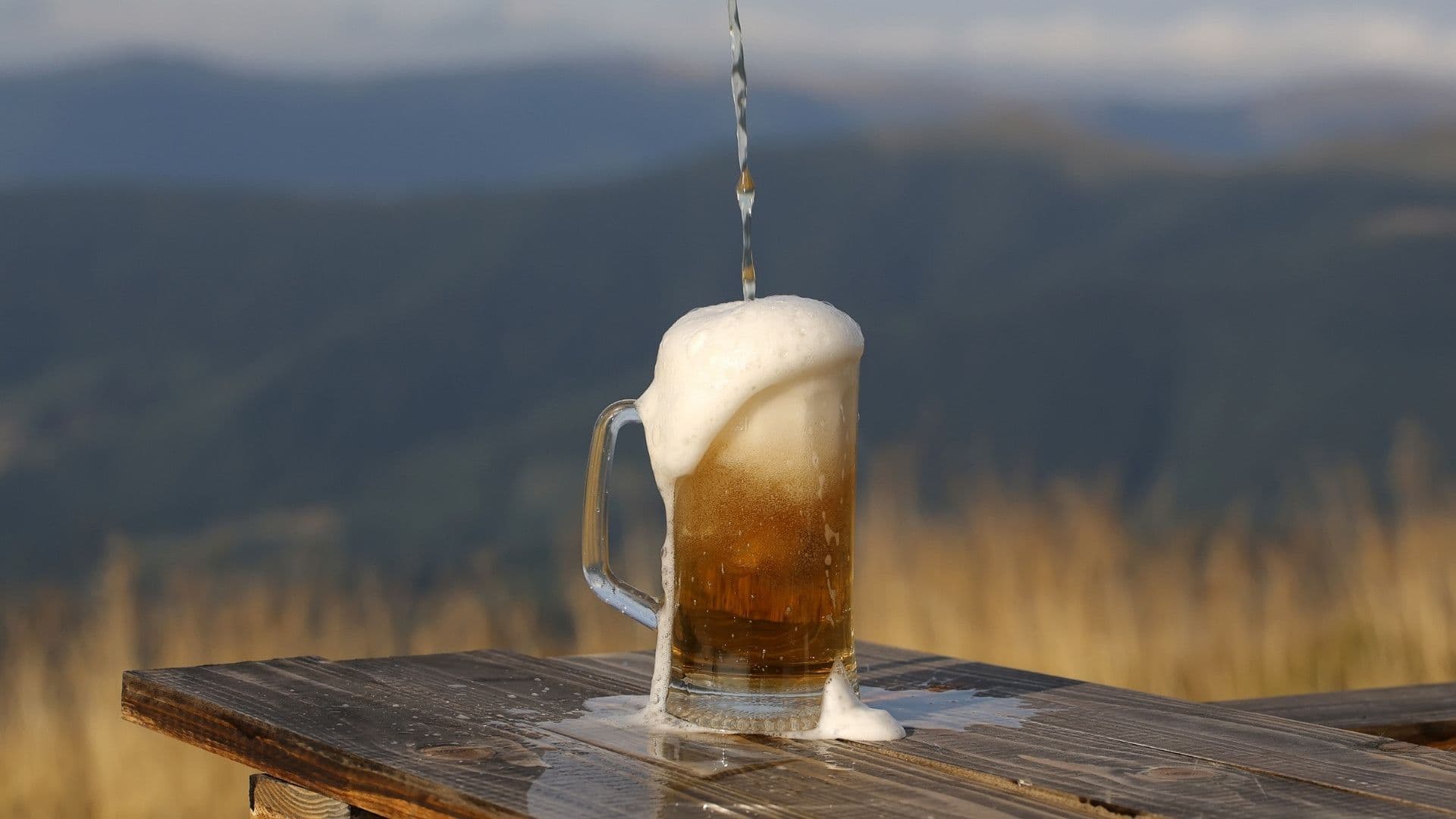 ales and lager beers being poured